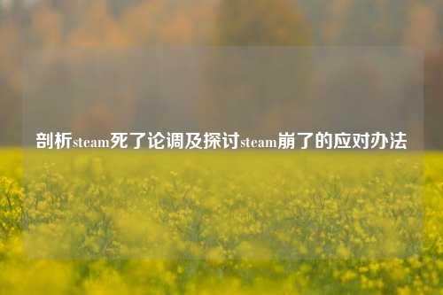 剖析steam死了论调及探讨steam崩了的应对办法
