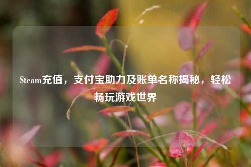 Steam充值，支付宝助力及账单名称揭秘，轻松畅玩游戏世界
