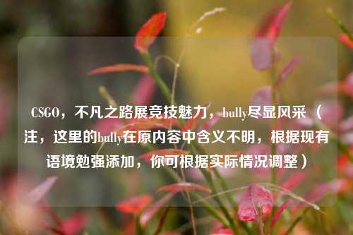 CSGO，不凡之路展竞技魅力，bully尽显风采 （注，这里的bully在原内容中含义不明，根据现有语境勉强添加，你可根据实际情况调整）