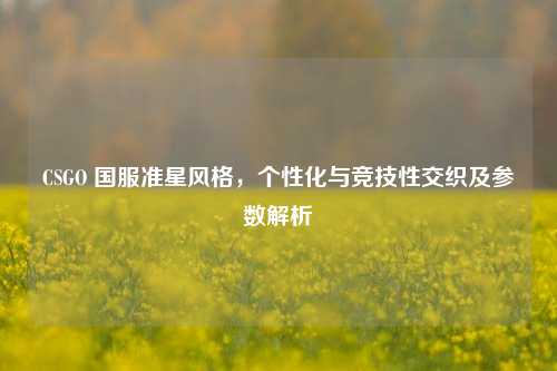 CSGO 国服准星风格，个性化与竞技性交织及参数解析