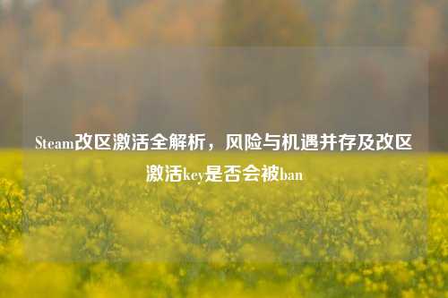 Steam改区激活全解析，风险与机遇并存及改区激活key是否会被ban