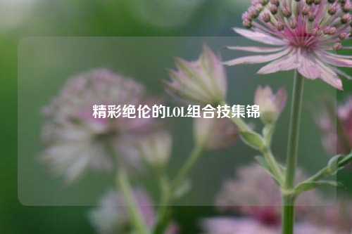精彩绝伦的LOL组合技集锦