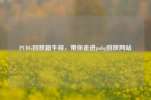 PUBG回放超牛掰,带你走进pubg回放网站