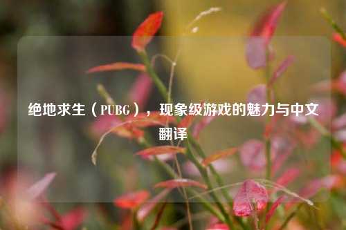 绝地求生（PUBG），现象级游戏的魅力与中文翻译