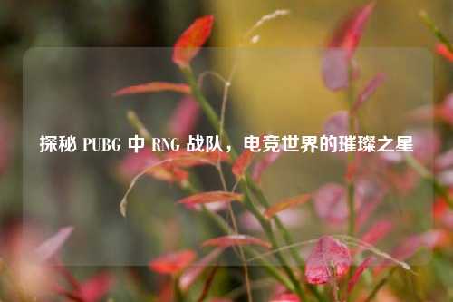 探秘 PUBG 中 RNG 战队，电竞世界的璀璨之星