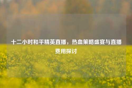 十二小时和平精英直播，热血策略盛宴与直播费用探讨