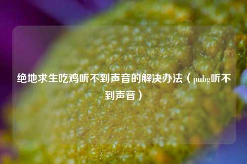 绝地求生吃鸡听不到声音的解决办法（pubg听不到声音）