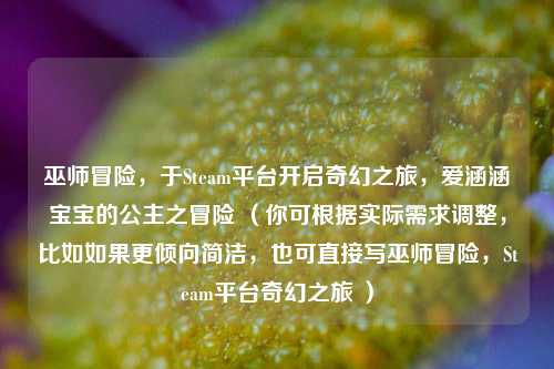 巫师冒险，于Steam平台开启奇幻之旅，爱涵涵宝宝的公主之冒险 （你可根据实际需求调整，比如如果更倾向简洁，也可直接写巫师冒险，Steam平台奇幻之旅 ）