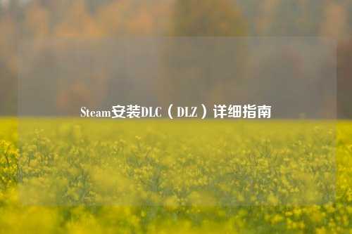Steam安装DLC(DLZ)详细指南