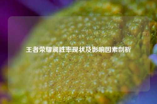 王者荣耀澜胜率现状及影响因素剖析