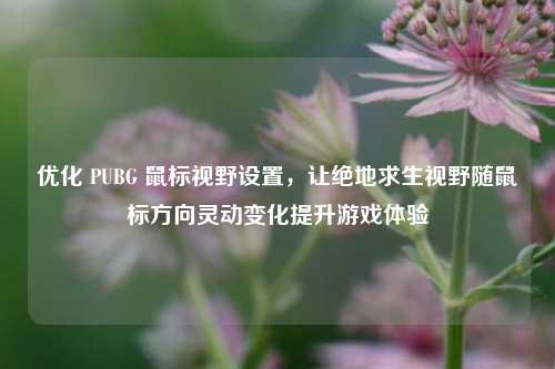 优化 PUBG 鼠标视野设置，让绝地求生视野随鼠标方向灵动变化提升游戏体验