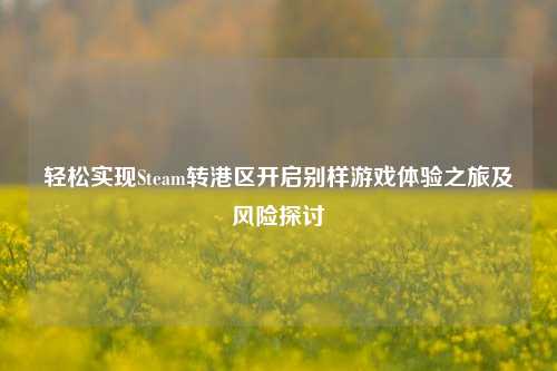 轻松实现Steam转港区开启别样游戏体验之旅及风险探讨