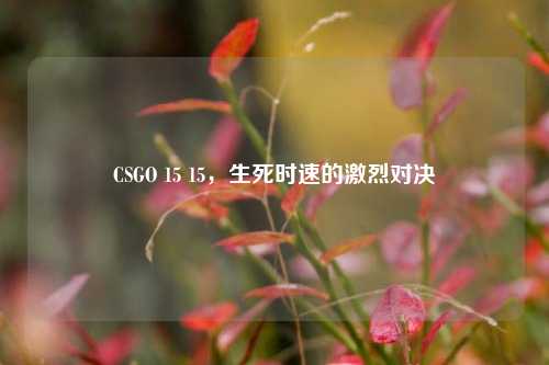 CSGO 15 15，生死时速的激烈对决