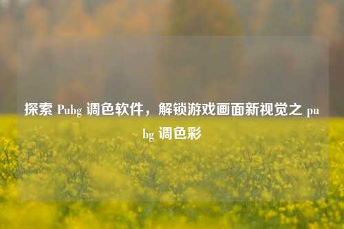 探索 Pubg 调色软件,解锁游戏画面新视觉之 pubg 调色彩