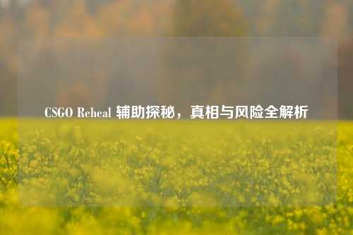 CSGO Reheal 辅助探秘，真相与风险全解析