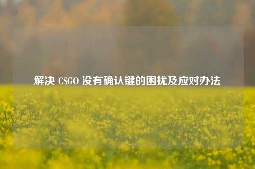 解决 CSGO 没有确认键的困扰及应对办法