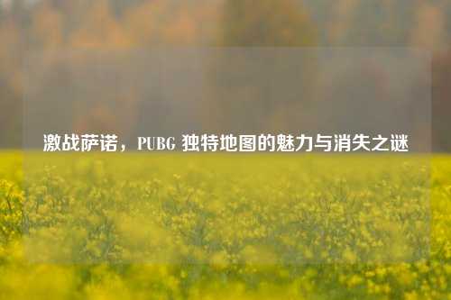 激战萨诺，PUBG 独特地图的魅力与消失之谜
