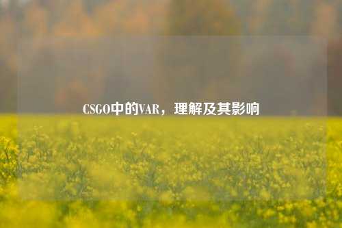 CSGO中的VAR，理解及其影响