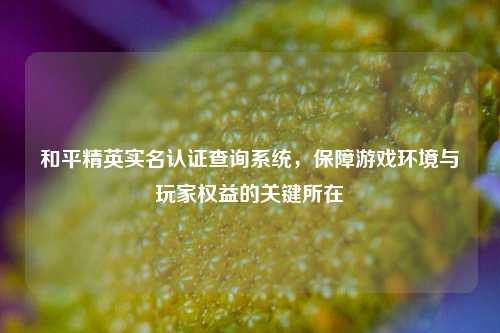 和平精英实名认证查询系统，保障游戏环境与玩家权益的关键所在
