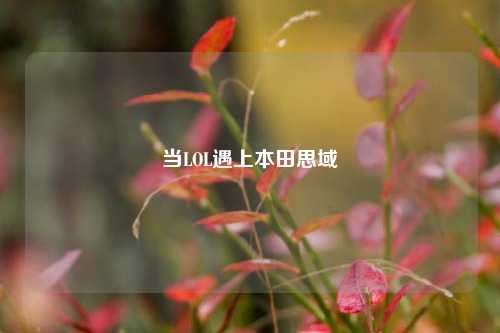 当LOL遇上本田思域