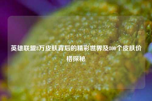 英雄联盟8万皮肤背后的精彩世界及800个皮肤价格探秘