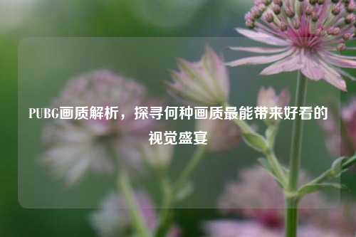 PUBG画质解析，探寻何种画质最能带来好看的视觉盛宴