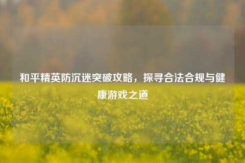 和平精英防沉迷突破攻略，探寻合法合规与健康游戏之道