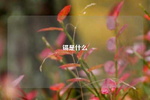 镉是什么