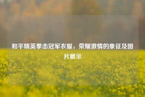 和平精英拳击冠军衣服，荣耀激情的象征及图片展示