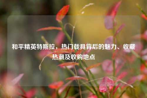 和平精英特斯拉，热门载具背后的魅力、收藏热潮及收购地点