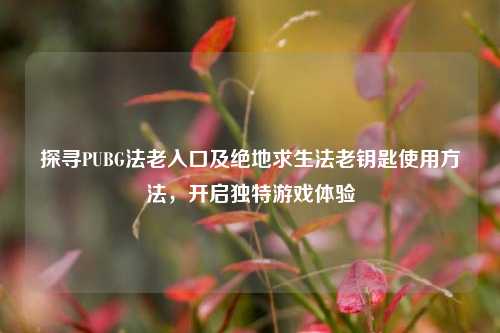 探寻PUBG法老入口及绝地求生法老钥匙使用方法,开启独特游戏体验
