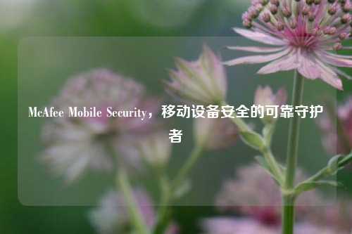 McAfee Mobile Security，移动设备安全的可靠守护者