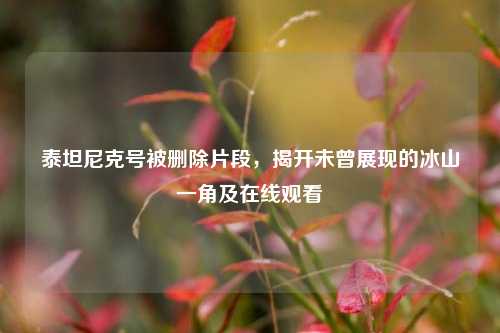 泰坦尼克号被删除片段，揭开未曾展现的冰山一角及在线观看