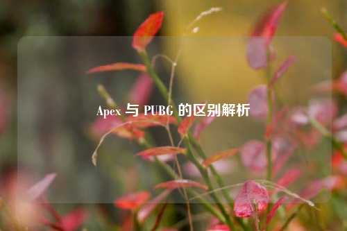 Apex 与 PUBG 的区别解析