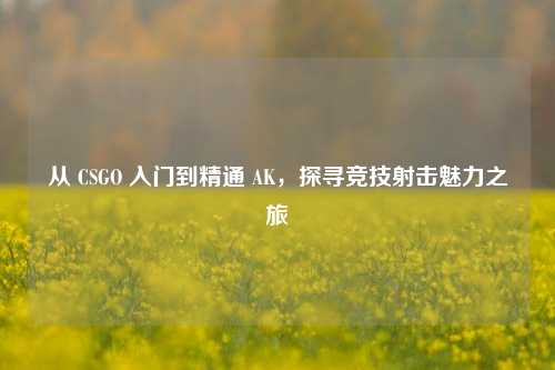 从 CSGO 入门到精通 AK，探寻竞技射击魅力之旅