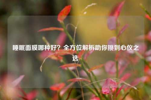 睡眠面膜哪种好？全方位解析助你挑到心仪之选