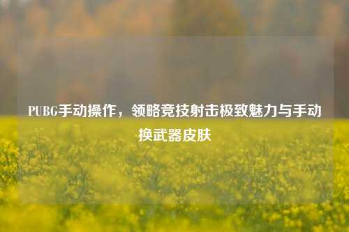 PUBG手动操作,领略竞技射击极致魅力与手动换武器皮肤