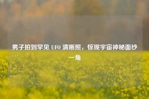 男子拍到罕见 UFO 清晰照，惊现宇宙神秘面纱一角