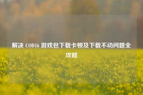 解决 COD16 游戏包下载卡顿及下载不动问题全攻略