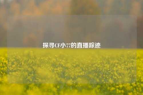 探寻CF小77的直播踪迹