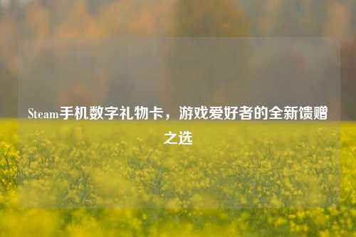 Steam手机数字礼物卡，游戏爱好者的全新馈赠之选