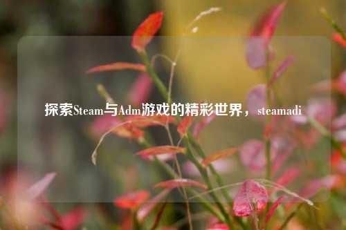 探索Steam与Adm游戏的精彩世界,steamadi