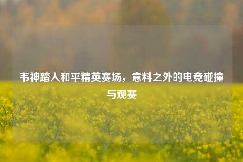 韦神踏入和平精英赛场，意料之外的电竞碰撞与观赛