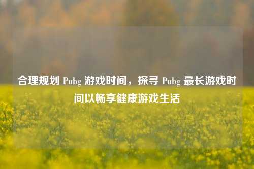 合理规划 Pubg 游戏时间，探寻 Pubg 最长游戏时间以畅享健康游戏生活
