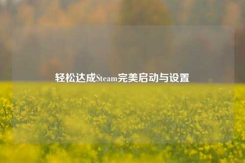 轻松达成Steam完美启动与设置
