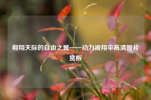 翱翔天际的自由之翼——动力滑翔伞高清图片赏析