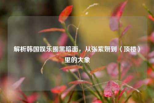 解析韩国娱乐圈黑暗面,从张紫妍到〈顶楼〉里的大象