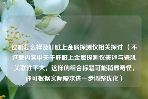 瓷肌怎么样及肝脏上金属探测仪相关探讨 （不过原内容中关于肝脏上金属探测仪表述与瓷肌关联性不大，这样的组合标题可能稍显奇怪，你可根据实际需求进一步调整优化）