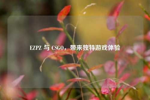 EZPZ 与 CSGO，带来独特游戏体验