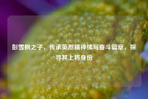 彭雪枫之子，传承英烈精神续写奋斗篇章，探寻其上将身份